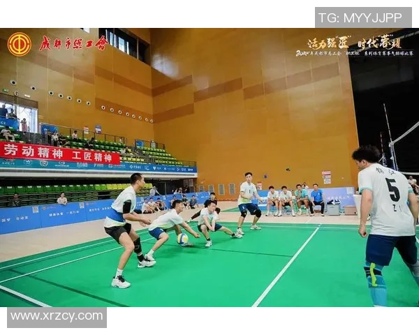 成都排球队的实力揭秘排球巨献背后的故事与荣耀