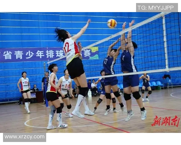 权威发布：2023年排球运动员个人能力实力排行榜全解析