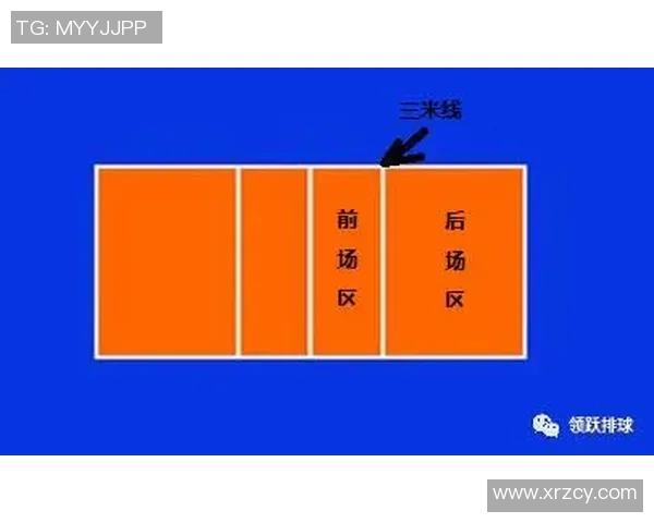 杭州排球队进攻策略分析与失误反思探讨