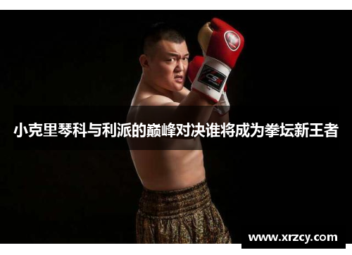 小克里琴科与利派的巅峰对决谁将成为拳坛新王者